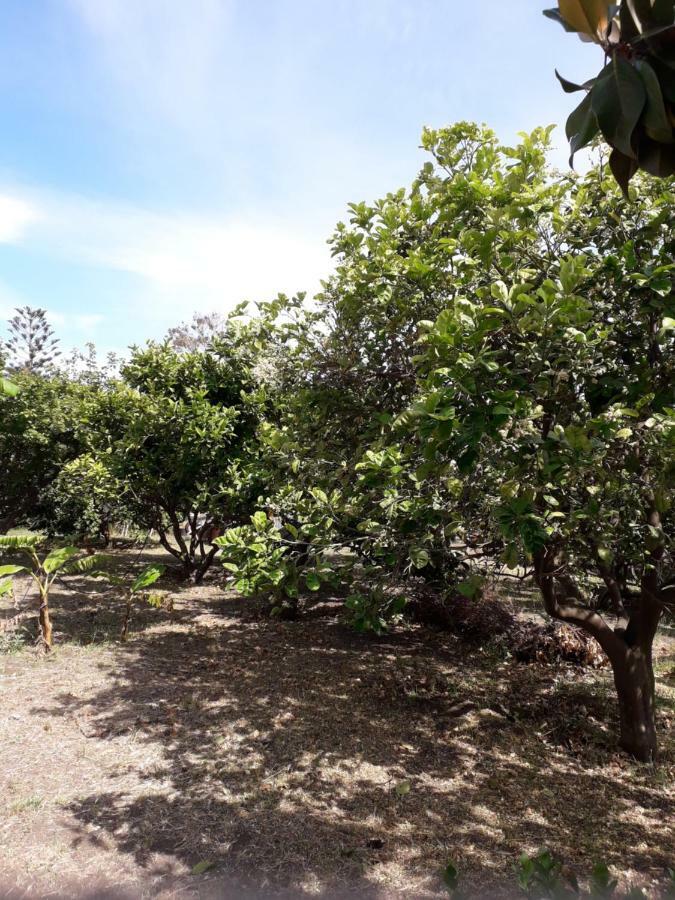 סטרומבולי Casa Agrumeto מראה חיצוני תמונה